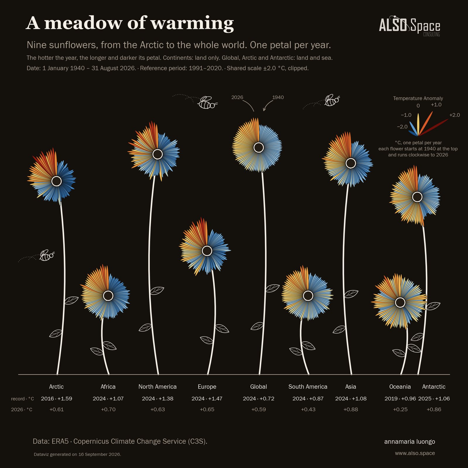 A meadow of warming: nine sunflowers, one petal per year from 1940 to 2026, for the Arctic, Africa, North America, Europe, the globe, South America, Asia, Oceania, and the Antarctic